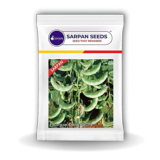 SARPAN ALL SEASON HYBRID DOLICHOS BEAN -4 SEEDS