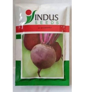 INDUS BEET ROOT SINDHU HYBRID SEEDS