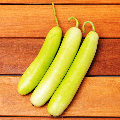 IRIS HYBRID VEGETABLE BOTTLE GOURD SEEDS