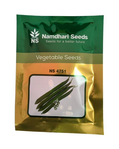 NAMDHARI NS 4751 RIDGE GOURD SEEDS