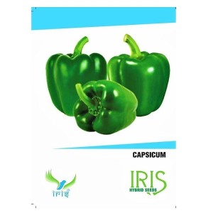 VEGETABLE SEEDS GREEN CAPSICUM