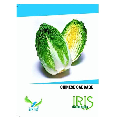 IRIS HYBRID VEGETABLE SEEDS CHINESE CABBAGE