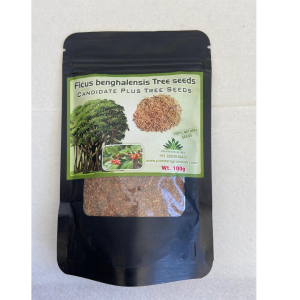 PIONEER AGRO BANYAN TREE SEEDS