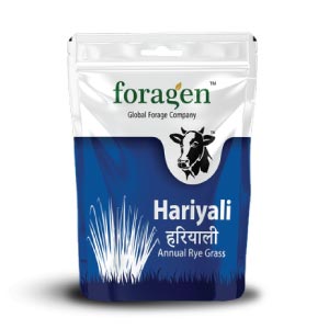 HARIYALI - FORAGE