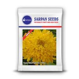 SARPAN HYBRID GAILARDIA - 1 YELLOW SEEDS