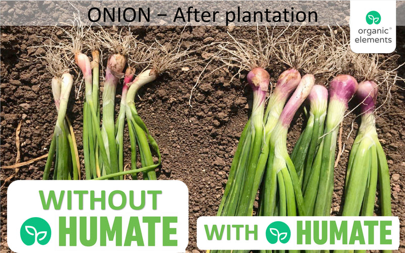 HUMATE SOIL CONDITIONER