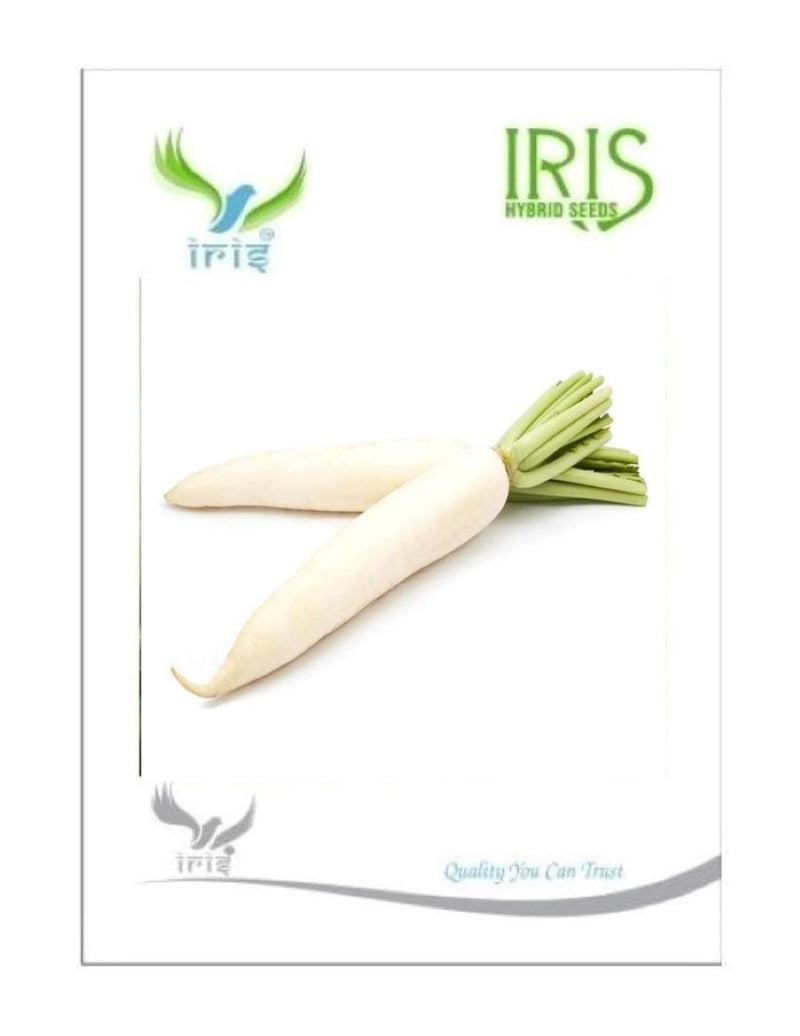 IRIS HYBRID OP VEGETABLE SEEDS RADISH