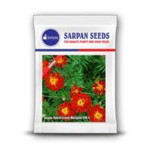 SARPAN HYBRID FRENCH MARIGOLD - 5 RED SEEDS