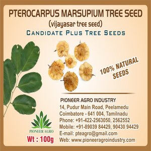 PIONEER AGRO PTEROCARPUS MARSUPIUM TREE SEED