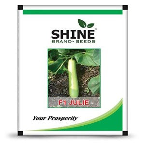 SHINE BOTTLE GOURD JULIE F1 SEEDS