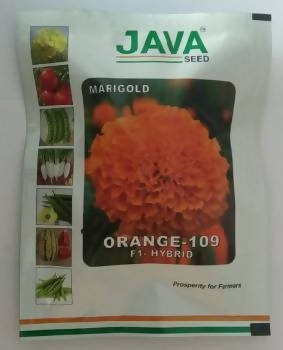 JAVA MARIGOLD ORANGE 109 F1 HYBRID SEEDS