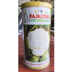 RAJKUMAR CAULIFLOWER SUPER FIRST CROP SEEDS