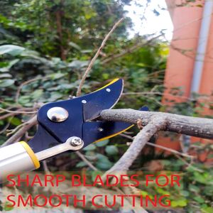 HECTARE ALUMINUM TELESCOPIC LONG REACH CUT AND HOLD PRUNER WITH SAW