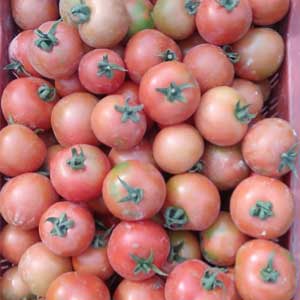 HEEMRAJ TOMATO