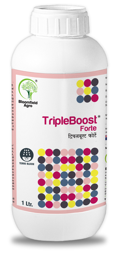 BLOOMFIELD TRIPLEBOOST FORTE