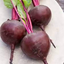 INDUS BEET ROOT SINDHU HYBRID SEEDS