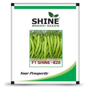 SHINE CHILLI SHINE 820 F1 HYBRID SEEDS