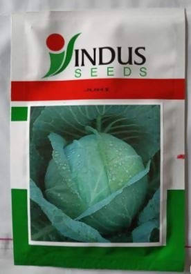 INDUS CABBAGE JUHI HYBRID SEEDS