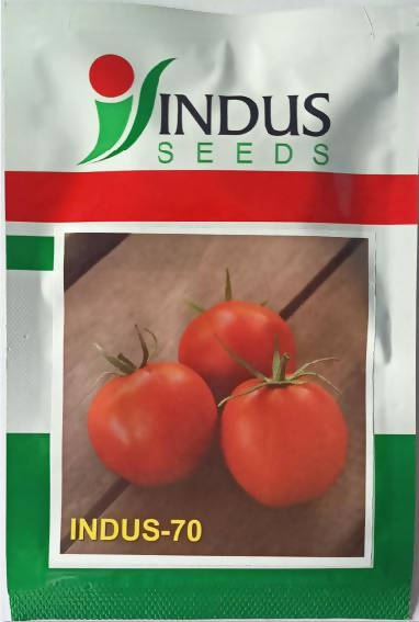 INDUS TOMATO 70 F1 HYBRID SEEDS